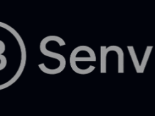 Senvix logo